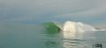 DSC_0032 copie